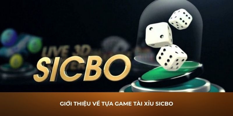 Giới thiệu tổng quan về sicbo kuwin