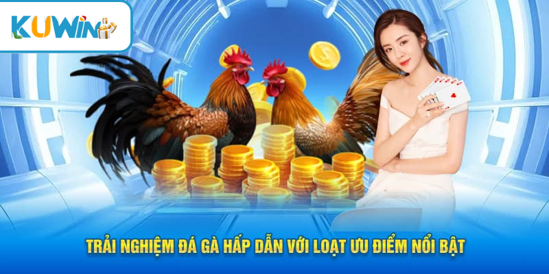 Tổng quan về đá gà đòn