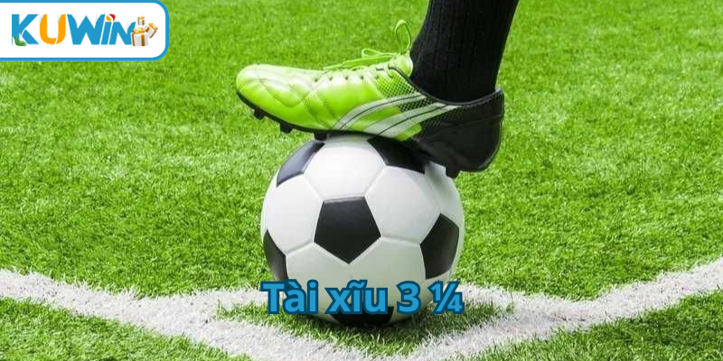 tài xĩu 3 1/4 thumb